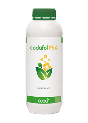 Codafol P54
