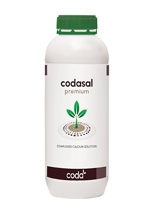 Codasal premium