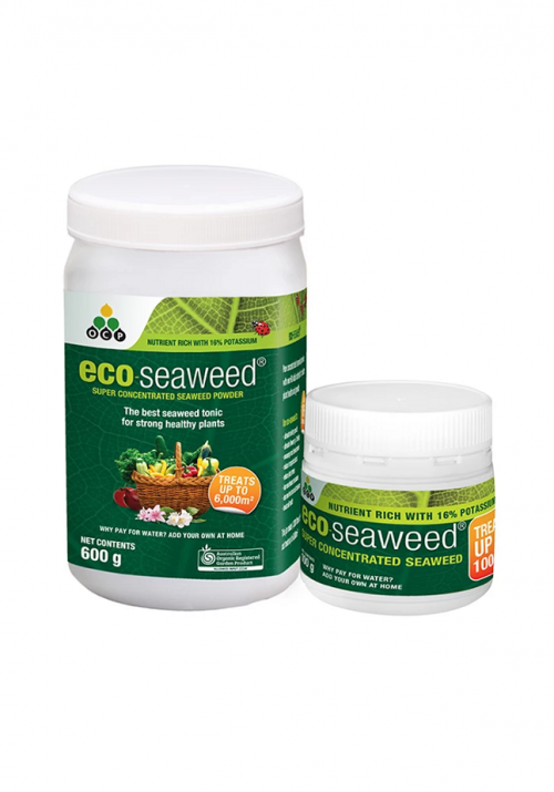 Eco Seaweed (Úc)